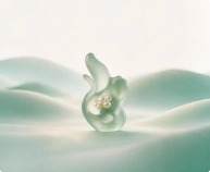 Fibroids, Endometriosis & Chronic Pelvic Pain