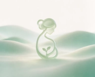 Preconception & Early Pregnancy Care